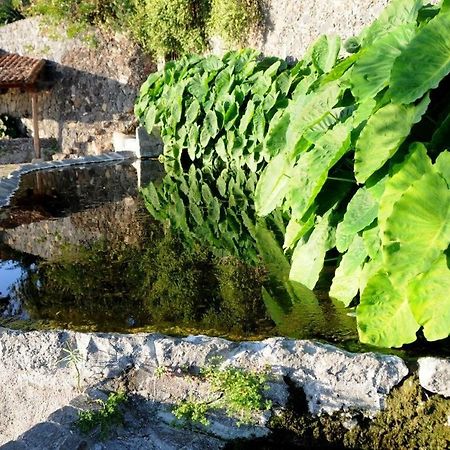 Apartamento En El Sauzal Lägenhet Montaneta Exteriör bild